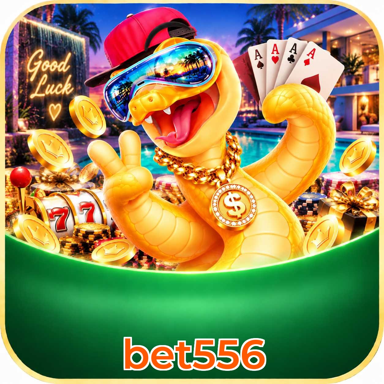 Pacote Completo do App bet556