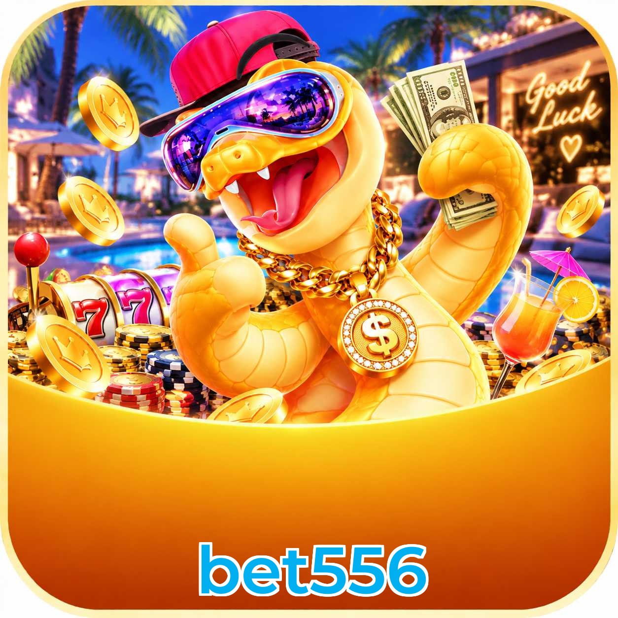 bet556